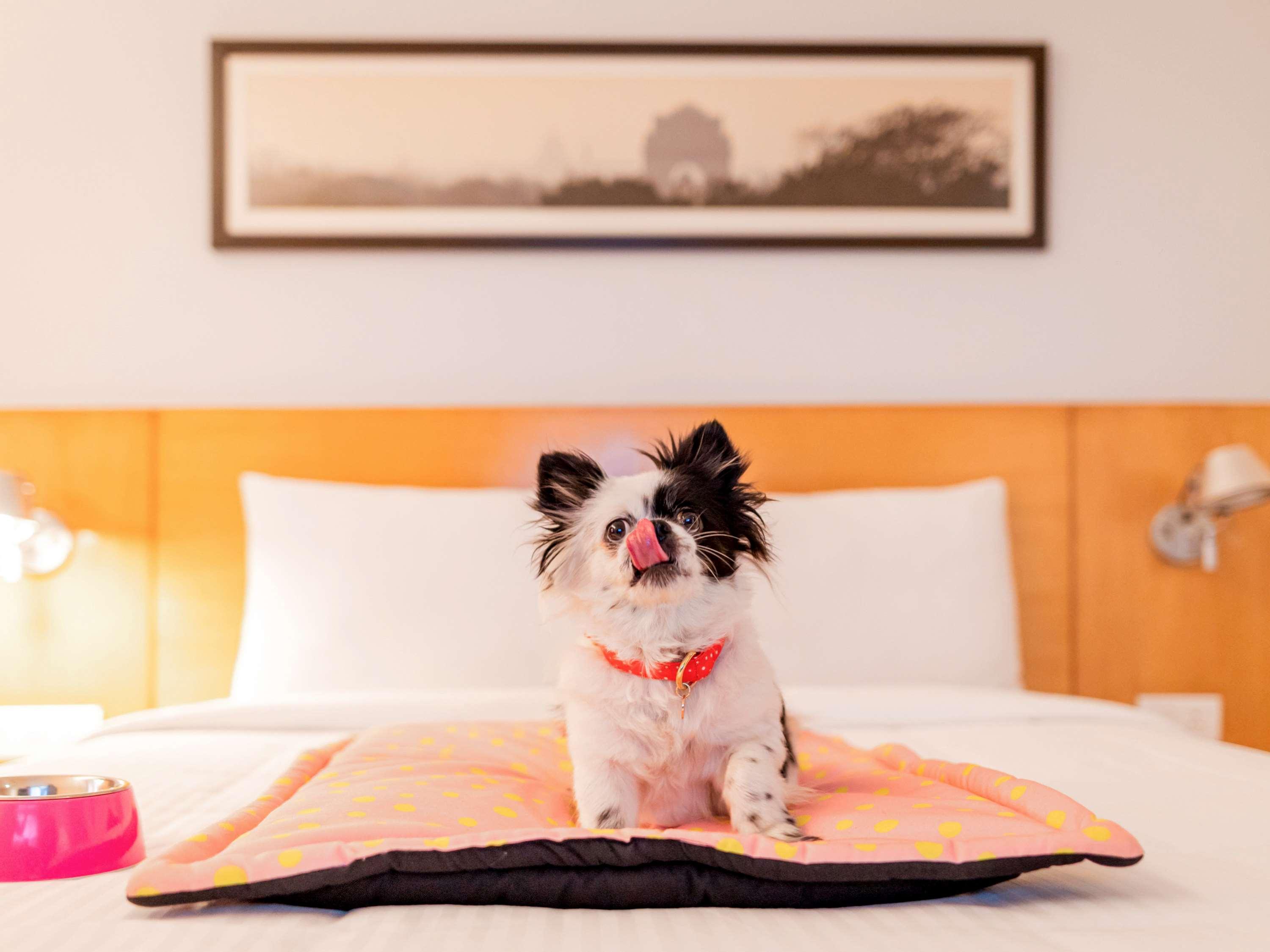 Ibis Gurgaon Golf Course Road - An Accor Brand Hotel Buitenkant foto